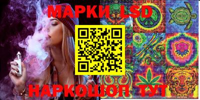 mdpv Гатчина
