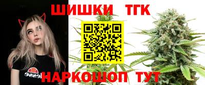 mdpv Гатчина
