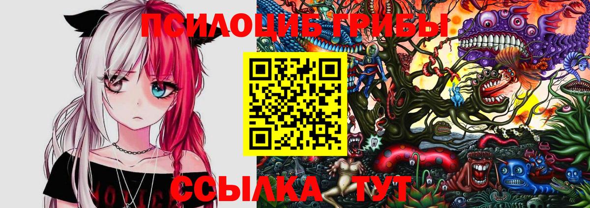 закладки  Вход с VPN  Надым  Псилоцибиновые грибы Psilocybe  Псилоцибиновые грибы мицелий 