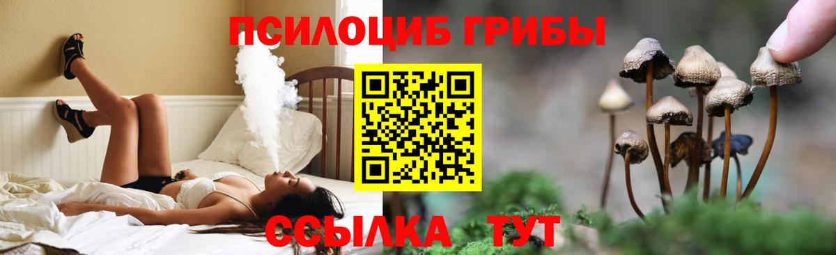 Галлюциногенные грибы GOLDEN TEACHER Надым